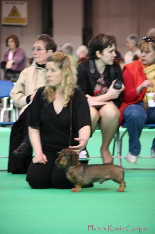 Crufts2011_2 795.jpg